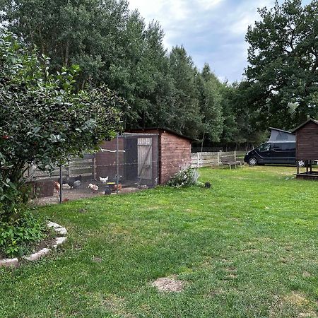 Zamieszkaj Na Wsi Blisko Warszawy Villa Borucza Eksteriør bilde